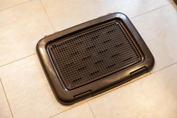 その他の写真4